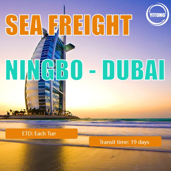 19 Days International Sea Freight Logistics From Ningbo China To Dubai UAE
